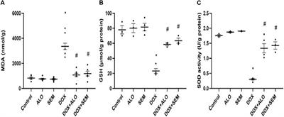 Comparative effects of incretin-based therapy on doxorubicin-induced nephrotoxicity in rats: the role of SIRT1/Nrf2/NF-κB/TNF-α signaling pathways